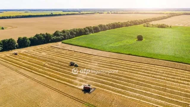 Eladó mezőgazdasági ingatlan Várpalota 100536 nm