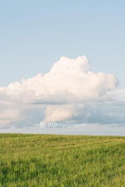 Eladó mezőgazdasági ingatlan Kelebia 38606 nm