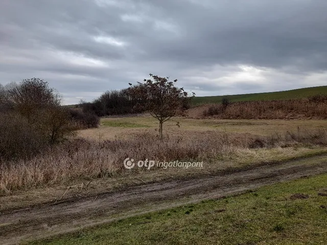 Eladó mezőgazdasági ingatlan Úri 1700000 nm