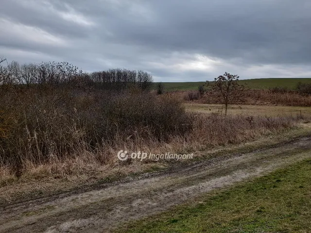 Eladó mezőgazdasági ingatlan Úri 1700000 nm