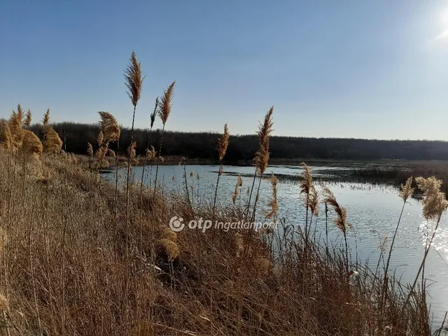 Eladó mezőgazdasági ingatlan Úri 1700000 nm