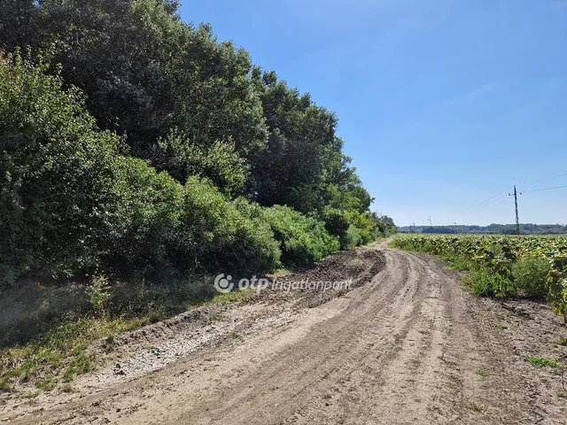 Eladó telek Hódmezővásárhely 39788 nm