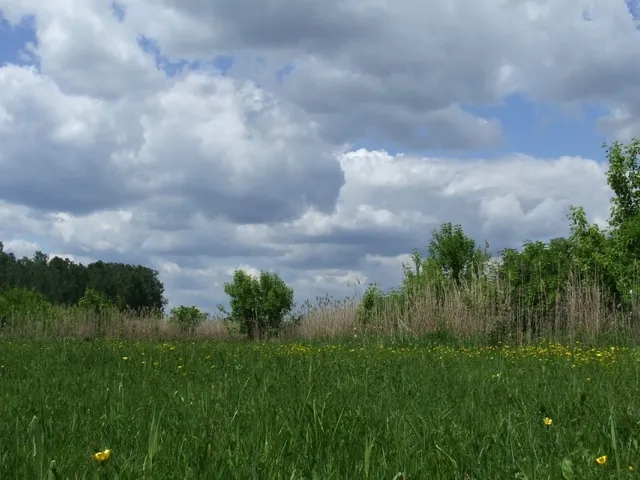 Eladó mezőgazdasági ingatlan Kelebia 38606 nm