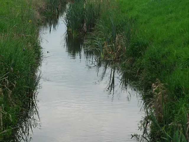 Eladó mezőgazdasági ingatlan Kelebia 38606 nm