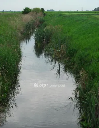 Eladó mezőgazdasági ingatlan Kelebia 38606 nm