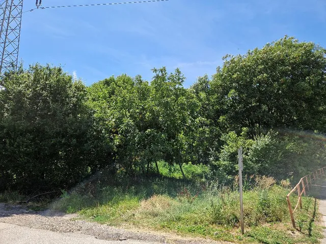 Eladó telek Szeged 828 nm