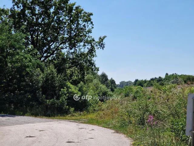 Eladó telek Hódmezővásárhely 13824 nm