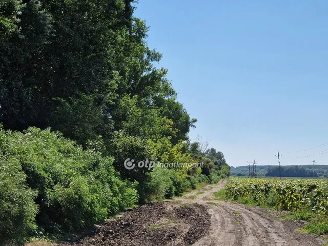 Eladó telek Hódmezővásárhely 39788 nm