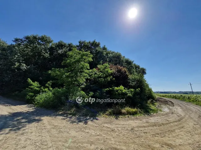 Eladó telek Hódmezővásárhely 39788 nm