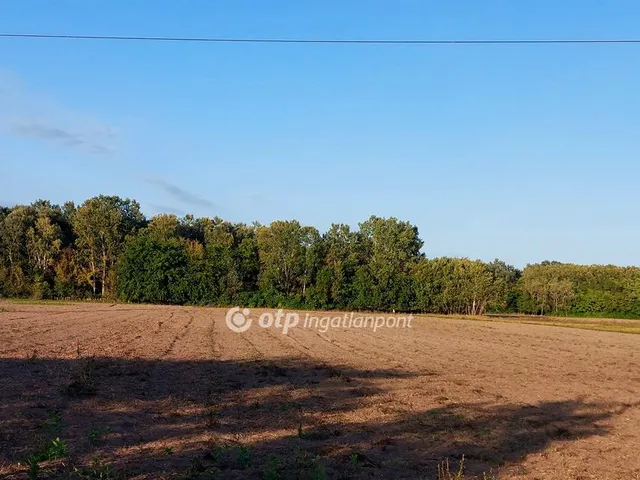 Eladó mezőgazdasági ingatlan Ópusztaszer 12675 nm