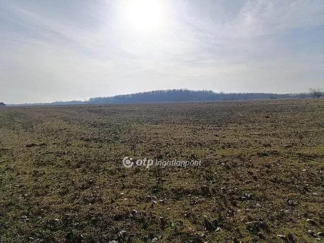 Eladó mezőgazdasági ingatlan Bácsalmás 1075450 nm