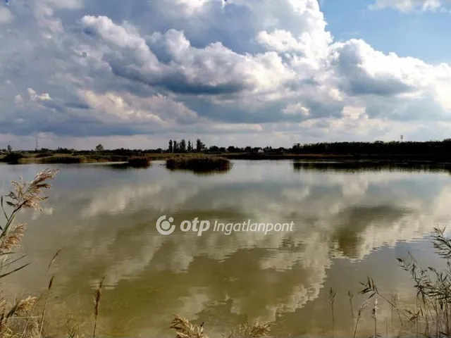 Eladó mezőgazdasági ingatlan Apátfalva 97296 nm