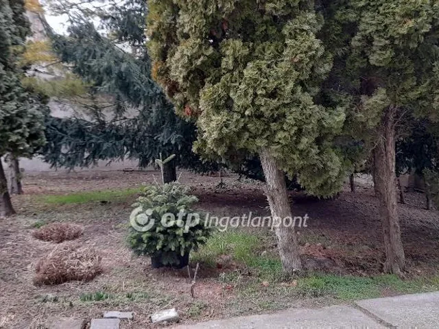 Eladó lakás Szeged 70 nm
