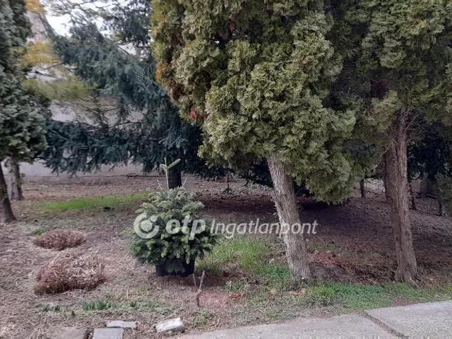 Eladó lakás Szeged 70 nm