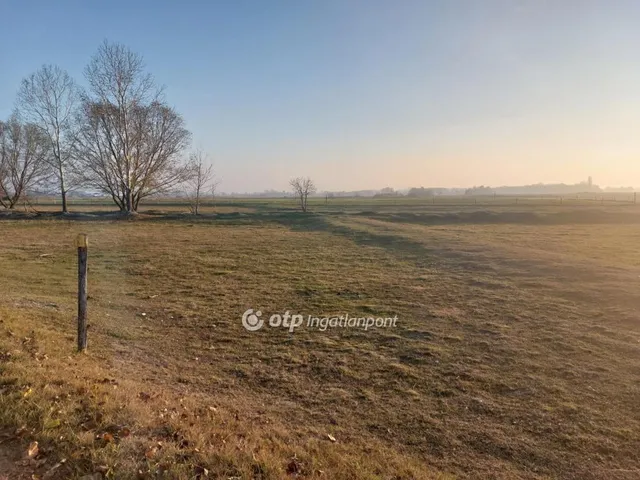 Eladó mezőgazdasági ingatlan Zákányszék 85006 nm