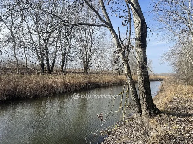 Eladó mezőgazdasági ingatlan Zákányszék 15932 nm