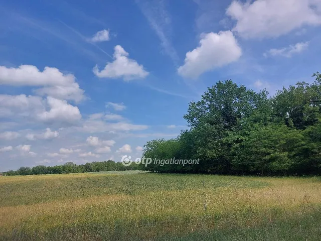 Eladó mezőgazdasági ingatlan Dóc 3964 nm