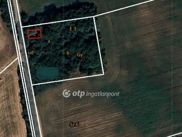 Eladó mezőgazdasági ingatlan Dóc 3964 nm