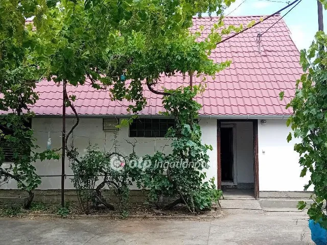 Eladó mezőgazdasági ingatlan Röszke 200 nm