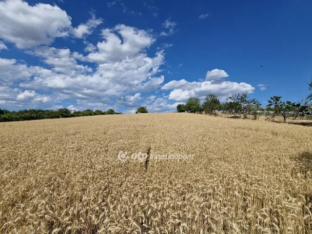Eladó mezőgazdasági ingatlan Berhida 25 nm