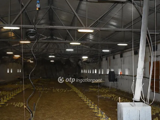 Eladó mezőgazdasági ingatlan Mezőhegyes 5000 nm