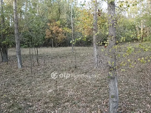 Eladó mezőgazdasági ingatlan Pusztamérges 66551 nm