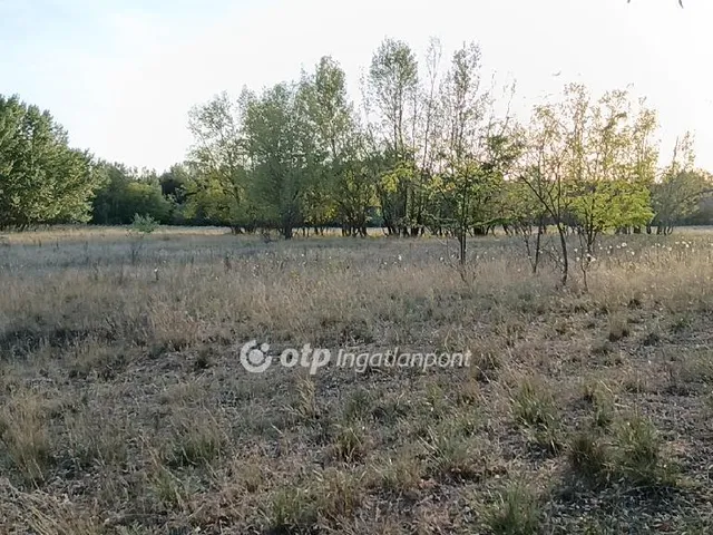 Eladó mezőgazdasági ingatlan Pusztamérges 66551 nm