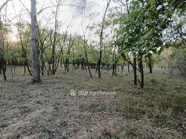 Eladó mezőgazdasági ingatlan Pusztamérges 66551 nm