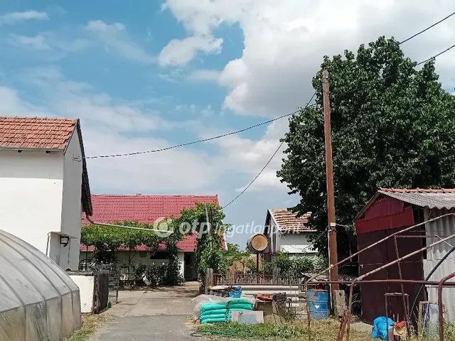 Eladó mezőgazdasági ingatlan Röszke 51007 nm