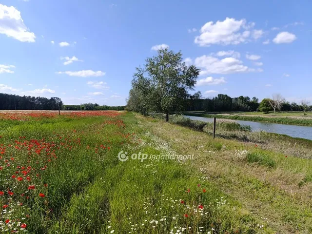 Eladó mezőgazdasági ingatlan Pusztamérges 165964 nm