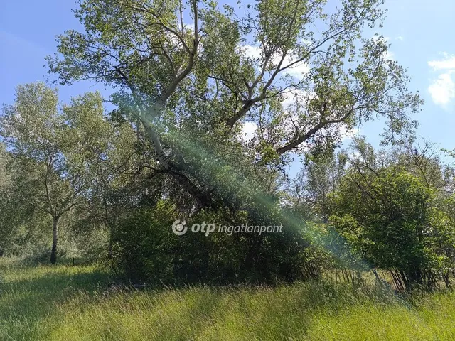 Eladó mezőgazdasági ingatlan Pusztamérges 165964 nm