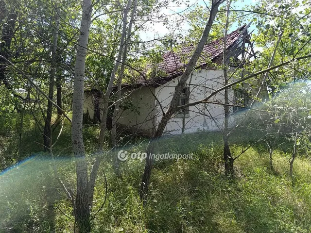 Eladó mezőgazdasági ingatlan Pusztamérges 165964 nm