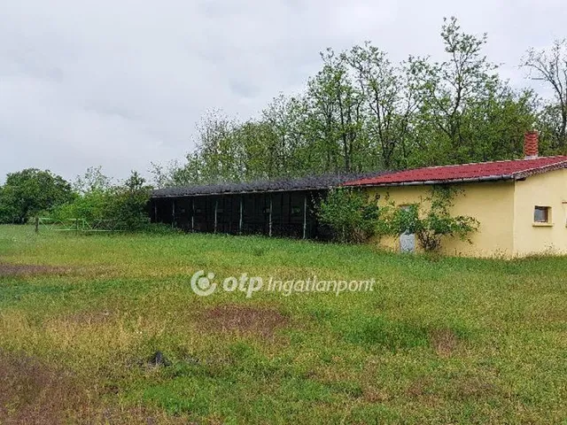 Eladó mezőgazdasági ingatlan Ruzsa 357 nm