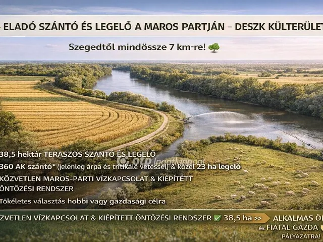 Eladó mezőgazdasági ingatlan Deszk 38542000 nm