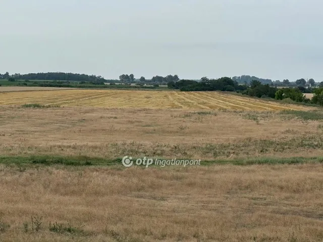 Eladó mezőgazdasági ingatlan Deszk 38542000 nm