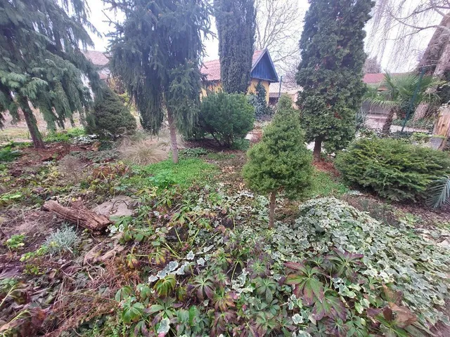 Eladó ház Hódmezővásárhely 200 nm