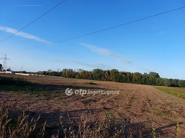 Eladó mezőgazdasági ingatlan Ópusztaszer 12675 nm