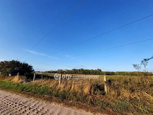 Eladó mezőgazdasági ingatlan Ópusztaszer 12675 nm