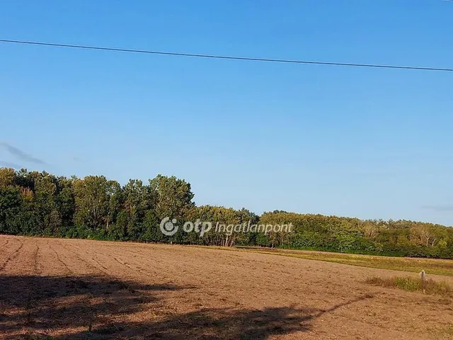 Eladó mezőgazdasági ingatlan Ópusztaszer 12675 nm