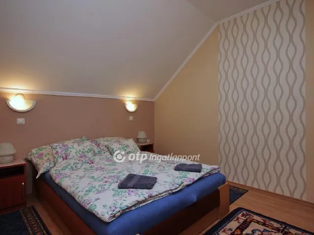 Eladó ház Gyula 320 nm