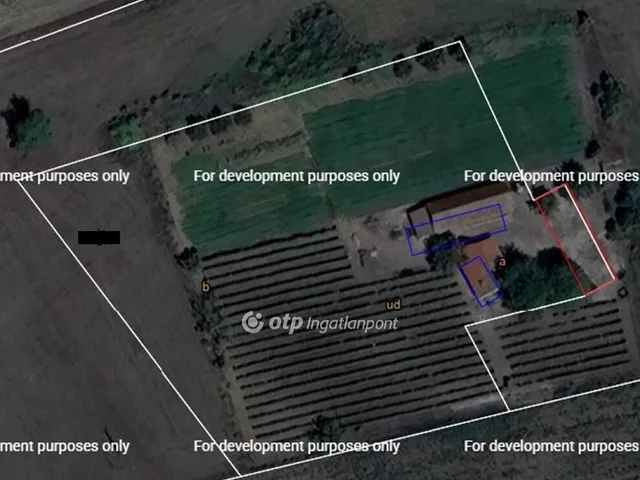 Eladó mezőgazdasági ingatlan Röszke 40 nm