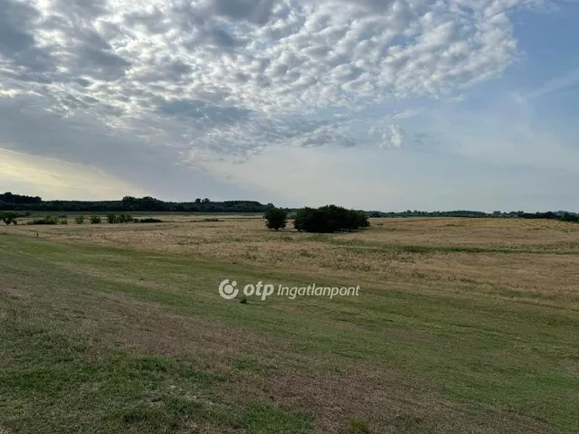 Eladó mezőgazdasági ingatlan Deszk 385424 nm