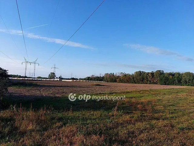 Eladó mezőgazdasági ingatlan Ópusztaszer 12745 nm
