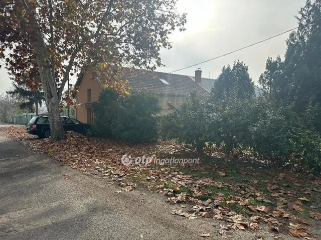 Eladó kereskedelmi és ipari ingatlan Csongrád 350 nm