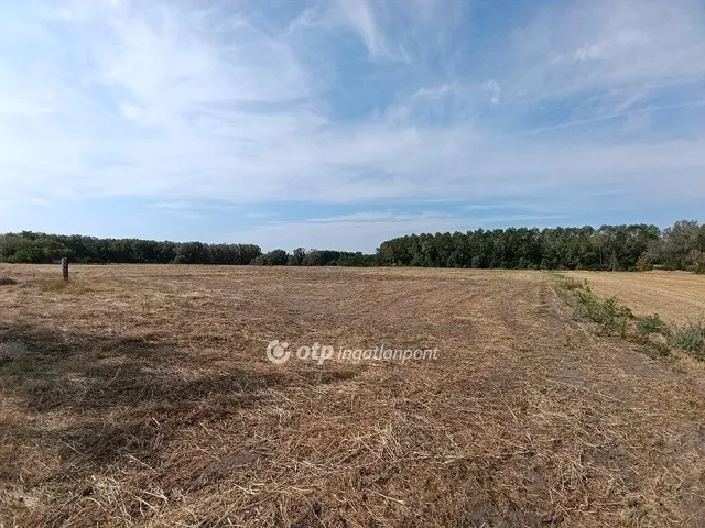 Eladó mezőgazdasági ingatlan Pusztamérges 150000 nm