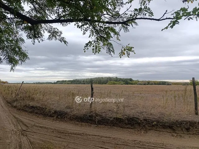 Eladó mezőgazdasági ingatlan Bácsalmás 970000 nm