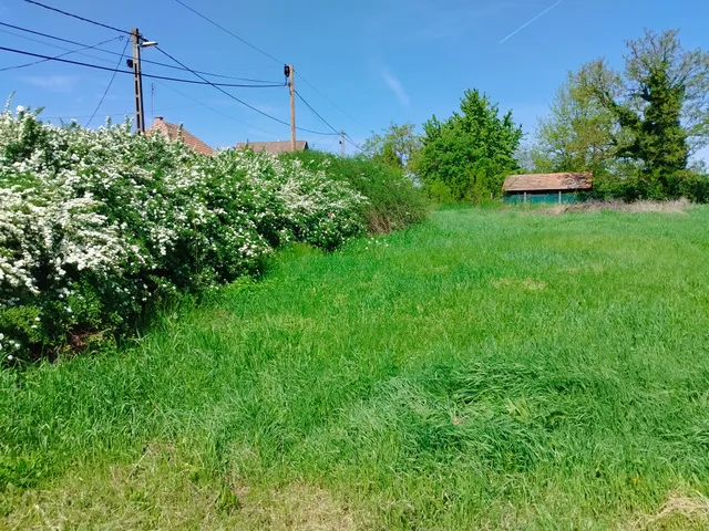 Eladó telek Pázmánd 700 nm