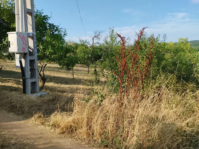Eladó telek Pákozd 1500 nm