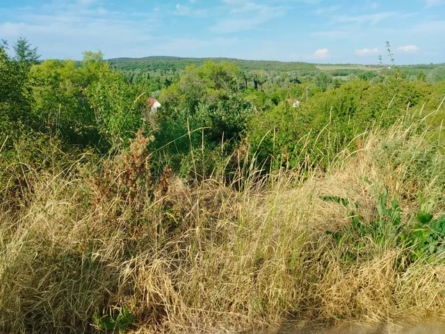 Eladó telek Pákozd 1500 nm