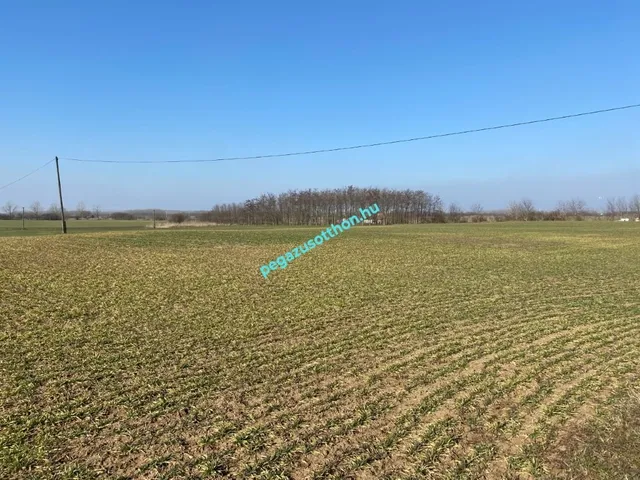 Eladó telek Tiszaszentimre 5726 nm